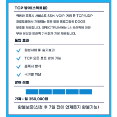 TCP 방어 (스펙트럼)